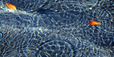 Water ripple
