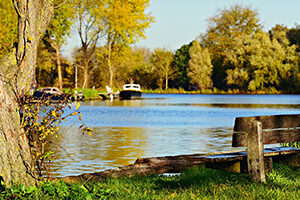 Wooden bench next to a river