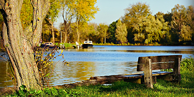 Wooden bench next to a river