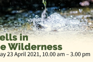 Wells in the Wilderness