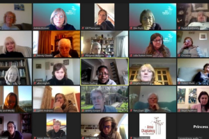 screen shot of Anna Chaplaincy zoom call