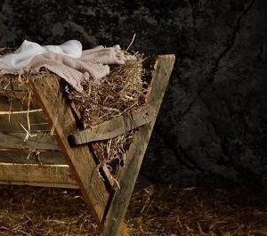Christmas 3 - Jesus is born