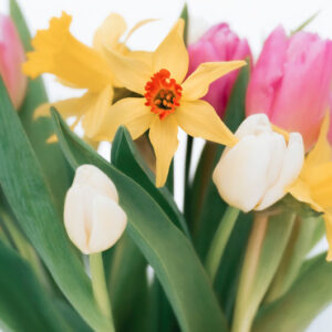 Mothering Sunday topic image