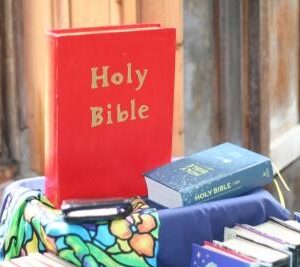 The Bible - the story of the story