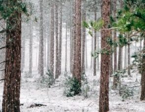 Exploring Narnia and Christianity - a reflective story