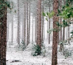 Exploring Narnia and Christianity - a reflective story