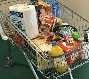 Food banks: caring for others during the pandemic