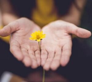 Friendship and Forgiveness: what Jesus said