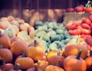 Talking about Harvest: saying thank you