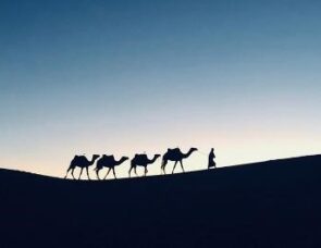 The story of the other wise man