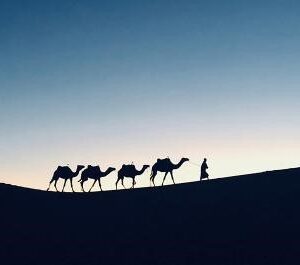 The story of the other wise man
