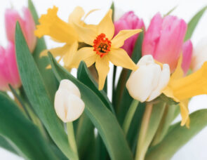 Yellow, white and pink flowers