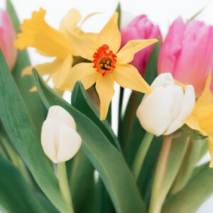 Yellow, white and pink flowers