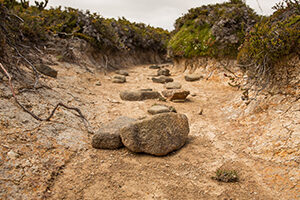 Dry creek bed in Tasmania, Australia