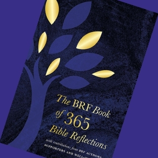 The BRF Book of 365 Bible Reflections