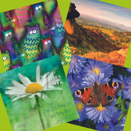 (four different Everyday card designs)