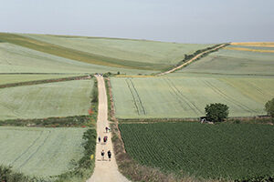 Pilgrims on the Camino de Santiago
