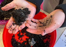 A pair of hands holding a mixture of soil, clay and seeds taken from a red bucket